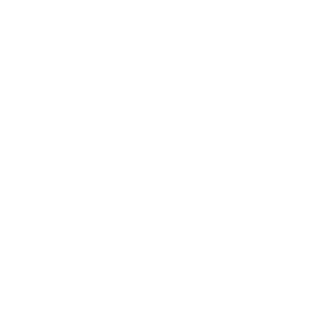 Sel pour traitement d'eau